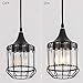YLONG-ZS Hanging Lamps Swag Lights Plug in Pendant Light 16 FT Cord and Chain/Hanging Pendant Light Cage in-Line On/Off Dimmer Switch for Living Room, Dining Room, Corner，Black Metal Finishing