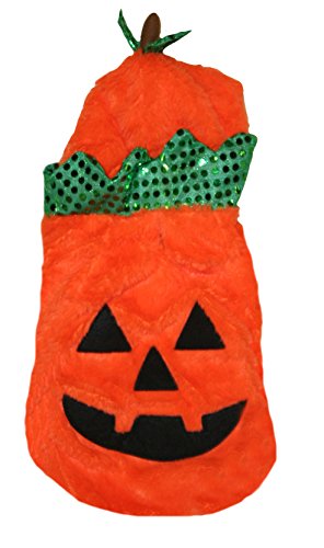 Spooky Village Halloween Pumpkin Pet Costume