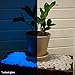 2.2lbs, 450 Piece Glow in the Dark Pebbles, Rocks, Stones. Great for Backyard or Indoor Decor, Garden Decorations, Patio Decoration, Zen Garden, Aquariums, Flower Beds. Solar or LED Charged Pebbles.