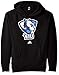 NCAA School Logo Fleece Hoodie