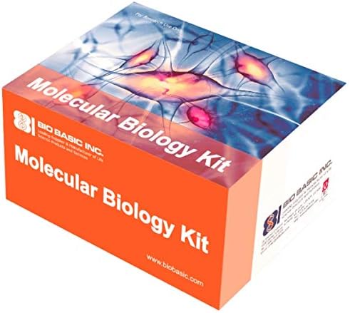 Rapid Bacteria Genomic DNA Isolation Kit, 50 Preparations