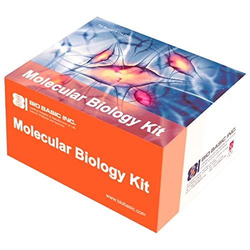 Rapid Bacteria Genomic DNA Isolation Kit, 50 Preparations