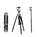 ZOMEI Tripod,Camera Tripod,Lightweight Camera Travel Z818 Tripod Aluminium Alloy Monopod with 360 Panorama Ball Head Quick Release Plate Ball for DSLR Canon Sony Nikon Cameras(Gold)
