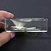 REALBUG Angel Fish Paperweight (2.9x1.6x1)