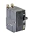 Square D by Schneider Electric QOB220CP 20-Amp Two-Pole Bolt-On Circuit Breaker