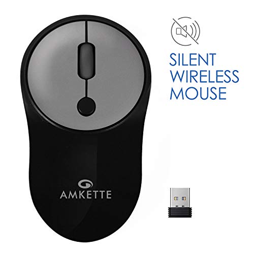 Amkette Hush Pro Arc Modern Slim and Silent Wireless Mouse with Nano USB Receiver (Black)