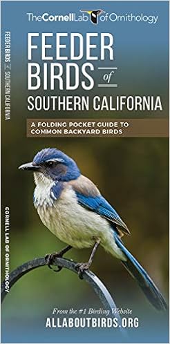 Amazon Com Feeder Birds Of Southern California A Folding Pocket