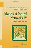 Models of Neural Networks IV : Early Vision and Attention, , 1441928758