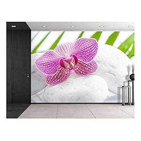 Pink Orchid Over Rocks with Palm Leaves on The Background - Wall Mural, Removable Sticker, Home Decor - 66x96 inches
