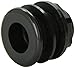 Lifegard Aquatics 3/4-Inch Slip Bulkhead Fitting