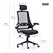High Back Mesh Office Chair - Ergonomic Design of Computer Desk Chair with Lumbar and Neck Support Color Black