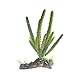 emours Cactus Plastic Plant Aquarium Ornament Fish Tank Desert Reptile Decoration