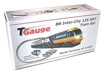 t scale train set