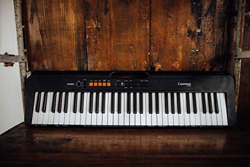 casio ctk s100