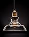 Lucia Lighting Pendant Ceiling Light Mid-Century Vintage Industrial Bronze Pendant Design with Clear Glass Shade; Masterpiece Lighting Fixture
