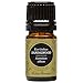 Edens Garden Sandalwood- East Indian Essential Oil, 100% Pure Therapeutic Grade (Undiluted Natural/Homeopathic Aromatherapy Scented Essential Oil Singles) 5 ml