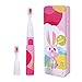 Saky Two Mode Sonic Toothbrush Battery Toothbrush Toddler Electric Toothbrush Kids Pink