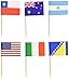 World Flag Toothpick (Box of 100 Toothpicks) Country Flags - International and Ethnic Events - Food Picks for Parties, Cocktails - Wood Toothpick and Paper Flag - World Cup, Olympic Games