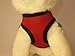 Snazzi Pet Soft Mesh Comfy Step in Dog Vest Harness Tiny XS Small Dogs 2-16 lbs Teacup Mini Toy Puppy (Red, SM 12.5