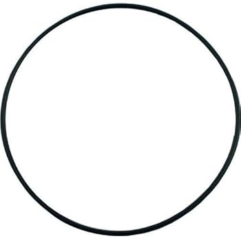 Amazon.com : Hayward SPX1705Z1 Housing O-Ring Gasket