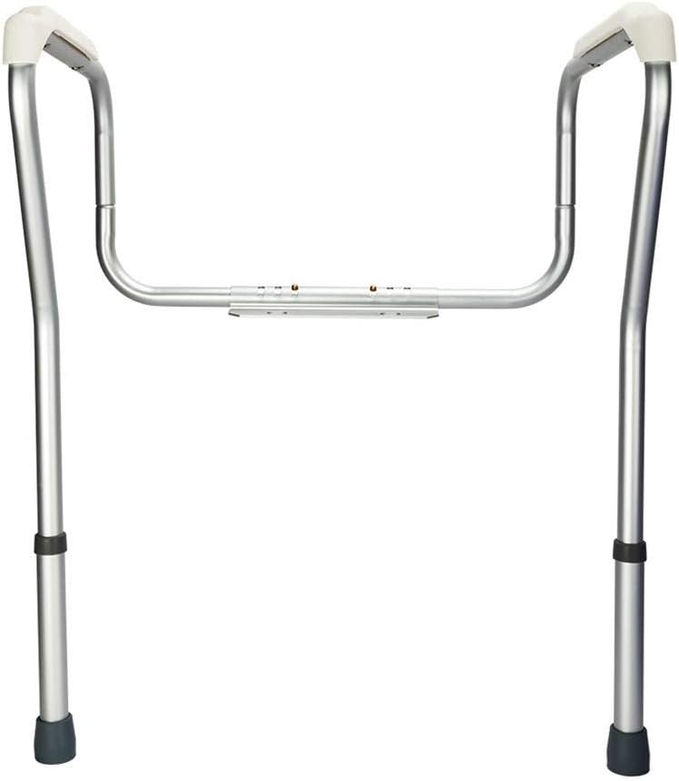 Best raised toilet seat with stand