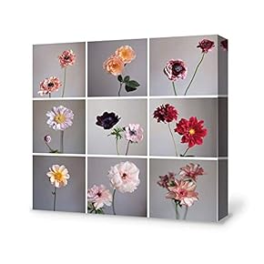 Canvas Wall Art Chrysanthemum Rose Canvas Painting Wall Poster Decor for Living Room Wooden Framed Home Decorations - 12x12 inches