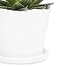 CHIVE ‘Tika’ Big Succulent Pot — 5” Cute Planter Pots for Indoor Plants — Beautiful Modern Decor for Home & Kitchen — White