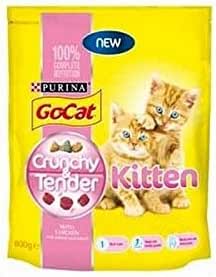 go cat kitten food