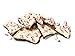 Bark Pumpkin Spice Limited Edition Holiday Season Chocolate Bark In A Box - Kosher Dairy