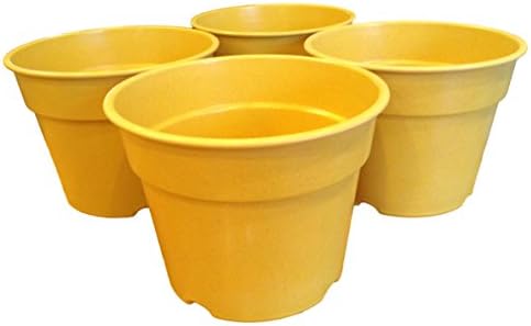 Rosso's International 5.6-Inch by 7.1-Inch Buttercup Decorative Biodegradable Bamboo Pot (Pack of four)