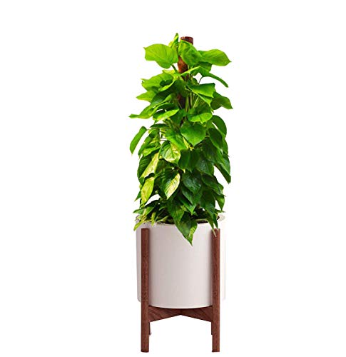 WOLUNWO Support Pot Plant Rack Flower Holder Indoor for Home Decor, Max to 10 Inch Planter Solid Walnut – Expandable Raised Plant Holder for Indoors (Plant & Pot Not Include)