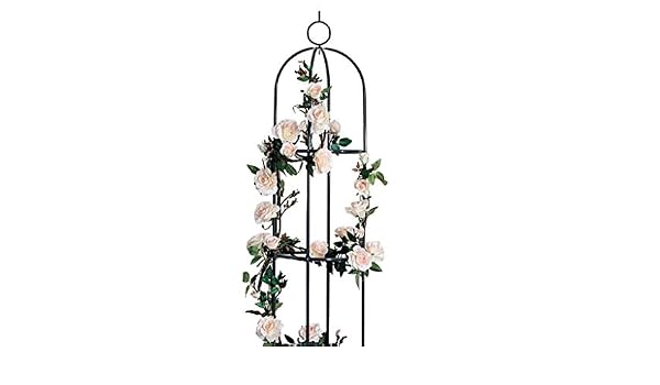LXFYMX Estante de la Flor Jardinería Vid Escalada Flor Soporte ...