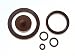 Longray Viton Gasket Kit Stainless Steel Sprayer primary