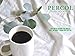 PERCOL ESPRESSO NOIR Instant Coffee Full-Flavored Taste & Silky Crema Finish – Dark, Intense Robusta Blend 3.5 oz 1 Pk