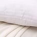 FabricMCC Square Pillow Inserts 18x18, Poly White Sham Hypoallergenic Stuffer Pillow Insert Sham