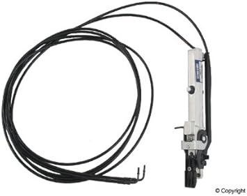 Image of 7000000728181