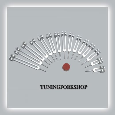 15 Pc Human Organ Weighted Tuning Fork Set for Healing with Activator,pouch& Free Shipping