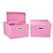 Household Essentials Fabric Storage Boxes with Lids and Handles, Pink