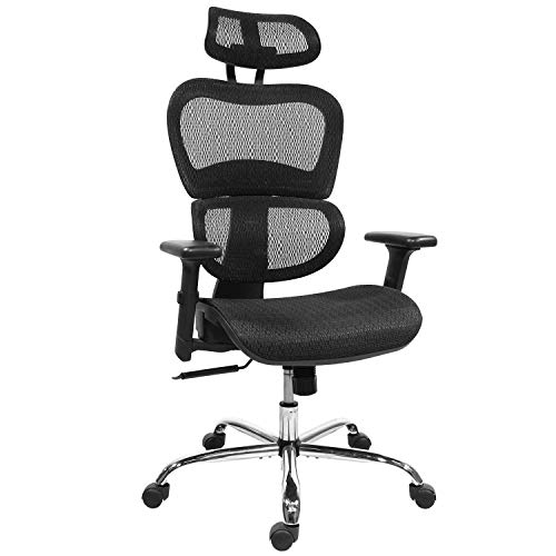 Rimiking Mesh Ergonomic Home Office Desk Chair High Back with