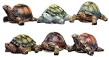 Set of 6 MayRich 3