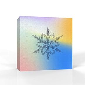 wall26 - Canvas Wall Art - Snowflake Theme...