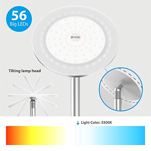 TROND LED Torchiere Floor Lamp, Modern Pole Light Dimmable 30W, 5500K Natural Daylight (Not Warm Yel - //medicalbooks.filipinodoctors.org