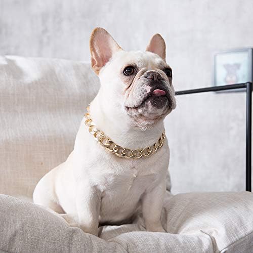 accesorios para perros amazon