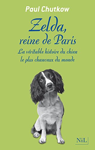 Zelda Reine De Paris French Edition Kindle Edition By