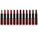 SHANY Lipstick Set of 12 Long-lasting and Moisturizing Creamy Colors with Various Finishes - Warm Wishes