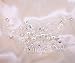 Mlouye Women Bridal Hair Comb Handmade Bendable Clear Crystal Bead Ivory Color Simulatd Pearl Leaf Vine Filigree Flower Wedding Hair Accessories for Bride and Bridesmaids