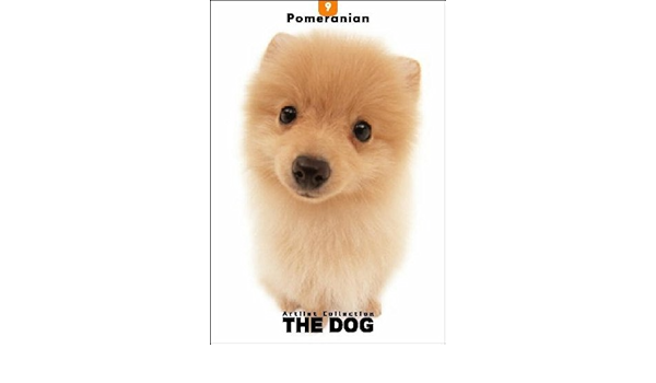 pomeranian amazon