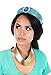 elope Disney Aladdin Princess Jasmine Jeweled Headband and Necklace Costume Kit Standard