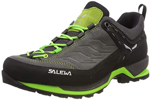 salewa ms trainer
