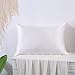 Natural Mulberry Silk Pillowcase for Hair and Skin Standard Size with Hidden Zipper, Ultra Smooth and Soft Breathable Cooling Silk Pillow case, Gifts for Women Men, 1pc (Silver, 20